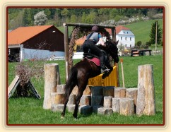 Arwen, triblebar ze špalků