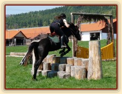 Carthago, triblebar ze špalků