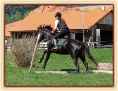 Carthago, výskok z jámy