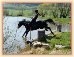 Carthago, seskok do rybníka