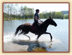 Arwen kluše vodou - je potřeba pořádně zvedat nohy:-)