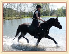 Carthago kluše vodou - je potřeba pořádně zvedat nohy:-)