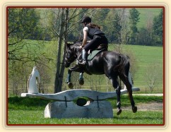 Carthago, jedna z "bubákových" překážek