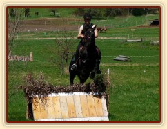 Carthago, skok přes áčko s proutěnkou