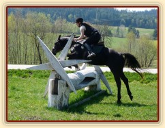 Carthago, vyšší kláda alias mlýny