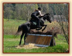 Carthago, skok přes áčko s proutěnkou