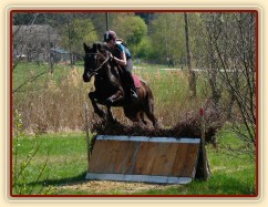 Arwen, skok přes áčko s proutěnkou