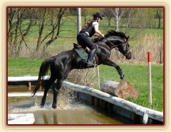 Carthago, výskok z vody