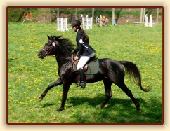 30.4.2011 - Carthago při čestném kole soutěže ZM v Hostouni, 2. místo