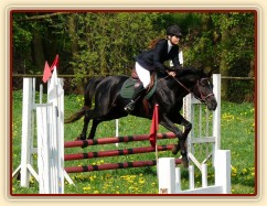 Carthago skáče při opracování na kolbišti před soutěží ZM