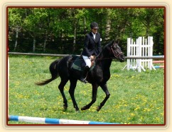 Carthago při čestném kole soutěže ZM, kde se umístil na 2. místě