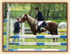 Vikina při dekorování soutěže Z, 3. místo