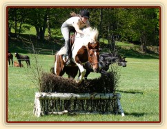 Vikina skáče přes naší novou proutěnku, trochu jí to nevyšlo:-)