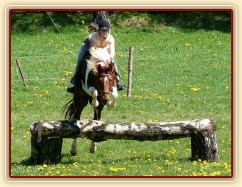 Vikina skáče přes březový oxer na našich pastvinách