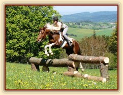 Vikina a skok přes kolmák ve svahu