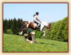 Vikina a skok přes větší kolmák ze svahu