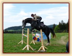 Také začínáme vyrábět nový skokový materiál, nové stojany a barevné klády