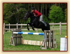 Také začínáme vyrábět nový skokový materiál, staré stojany a na nich už barevné klády