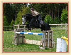 Také začínáme vyrábět nový skokový materiál, staré stojany a na nich už barevné klády