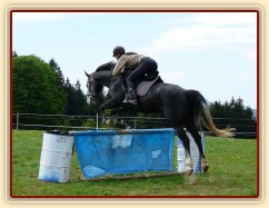 Nejlepším "bubákem" ale zůstává stará plachta:-)
