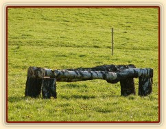 Náš nový terenní skok: březový oxer