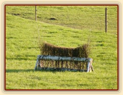 Náš nový terenní skok: proutěnka