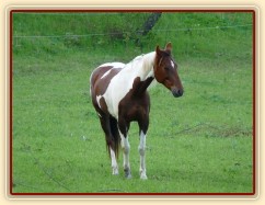 Osmiletá Vikina odpočívá