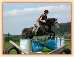 Rybíz jede malý 
parkurek