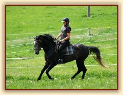 Rybíz s majitelkou na jízdárně. Olga a Věra Procházková