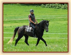 Rybíz s majitelkou na jízdárně. Olga a Věra Procházková
