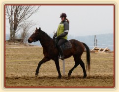 Monty na jízdárně