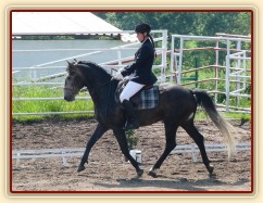 Rybíz na prvních závodech, drezurní úloha Z1