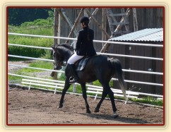 Rybíz na prvních závodech, drezurní úloha Z1