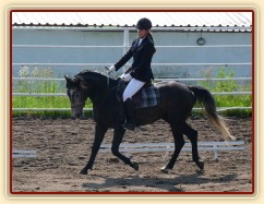 Rybíz na prvních závodech, drezurní úloha Z1