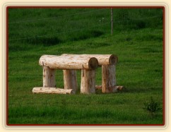 12.6.2011 - postavili jsme nový terénní skok, mohutný oxer