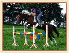 Oxer z nových stojanů a barevných klád, tentokráte s Vikinou...