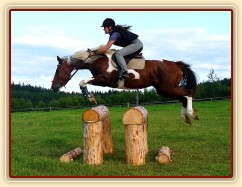 Nový velký oxer (110 x 120 cm) a Vikina při prvním skoku přes něj