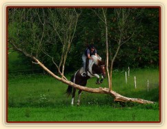 Vikina a "průskok" stromem. Zatím jeden z nejtěžších terénních skoků u nás, skok je vysoký něco přes metr. Místo, kam se člověk musí trefit, je široké 1,5 metru:-)