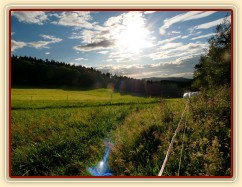 22.8.2011 - Pohled na pastviny