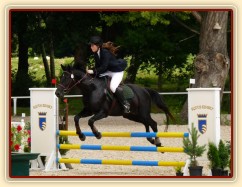 Carthago při zahajovacím tréninku, Hraďištko ČŠMK