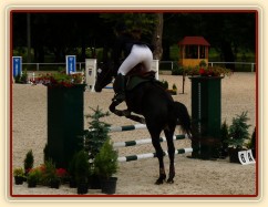 Carthago při zahajovacím tréninku, Hraďištko ČŠMK