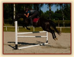 Arwen při tréninku v Klatovech, červen 2011