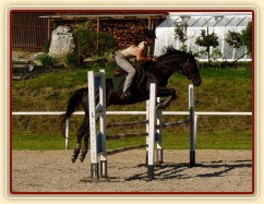 Carthago při tréninku v Klatovech, červen 2011