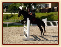 Arwen při tréninku v Klatovech, červen 2011