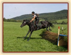 4.9.2011 - Carthago si jede pro 4. místo v soutěži všestrannosti stupně ZL v Borové