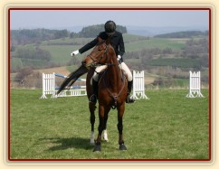 Závody na Dražce, parkur Z, pozdrav