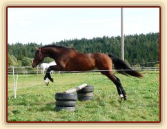 Skákání ve volnosti, září 2010