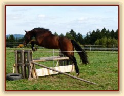 Skákání ve volnosti, září 2010