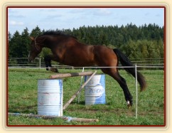 Skákání ve volnosti, září 2010