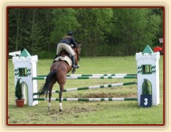 Závody v Herouticích, parkur ZL